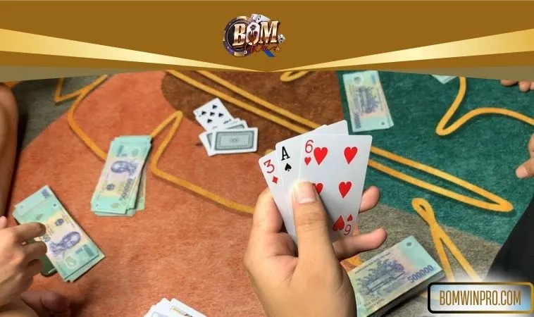 Nên đến đâu chơi 3 Cây chuyên nghiệp? Nên đến đâu chơi 3 Cây chuyên nghiệp?