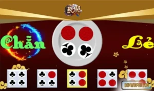 Tiêu chí chọn địa chỉ cá cược chuyên nghiệp